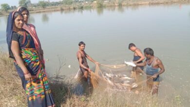 समूह की महिलाएं मछली पालन का व्यवसाय अपनाकर आत्मनिर्भरता की ओर अग्रसर