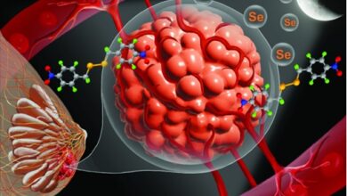 नया संश्लेषित कंपाउंड स्तन कैंसर का उपचार कर सकता है