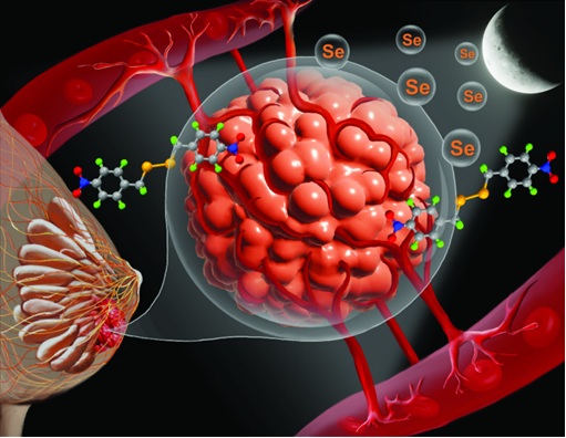 नया संश्लेषित कंपाउंड स्तन कैंसर का उपचार कर सकता है नया संश्लेषित कंपाउंड स्तन कैंसर का उपचार कर सकता है