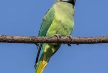 दुख में किसी का साथ ना छोड़ना