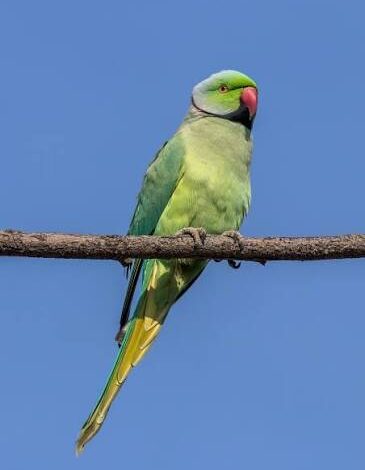 दुख में किसी का साथ ना छोड़ना