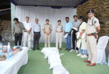 मुंगेली पुलिस ने 12 मामलों में जब्त गांजा, ब्राउन शुगर, चरस व अफीम को किया नष्ट