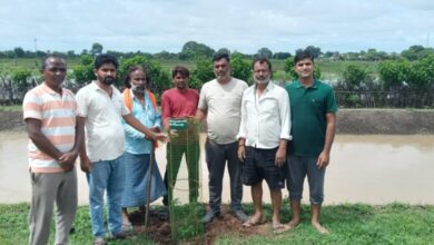 भटगांव में सात साल से जारी पौधरोपण अभियान, नहर मार्ग पर रोपे 25 पौधे
